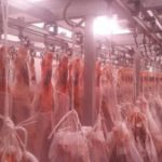 estrucctura-galvanizada-modular-poligono-de-Guimar-alimentacion-300x169-1